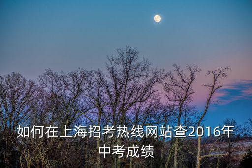 上海招考熱線，上海招考熱線網址