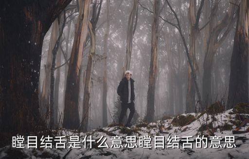 瞠目結舌是什么意思瞠目結舌的意思