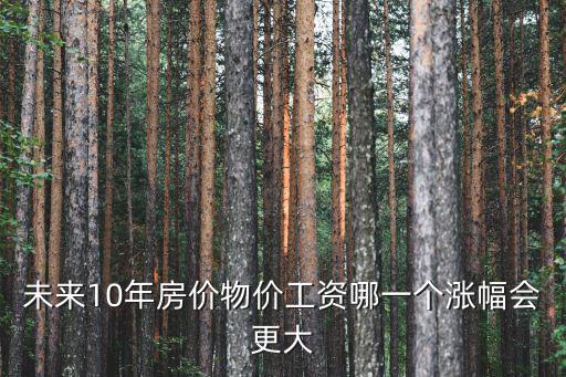 物價和房價哪個好，未來10年房價物價工資哪一個漲幅會更大