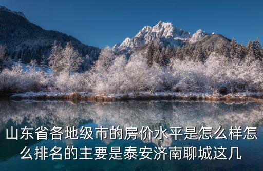 山東省各地級(jí)市的房?jī)r(jià)水平是怎么樣怎么排名的主要是泰安濟(jì)南聊城這幾