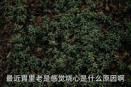 最近胃里老是感覺燒心是什么原因啊