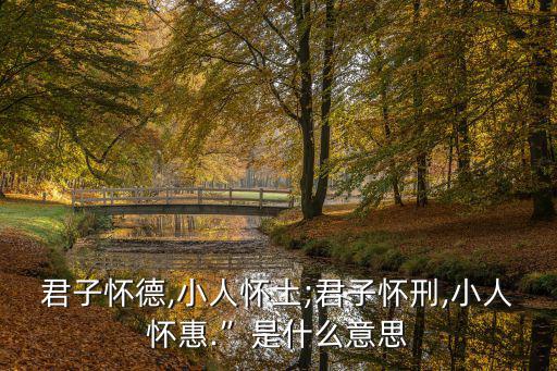 君子懷德,小人懷土;君子懷刑,小人懷惠.”是什么意思