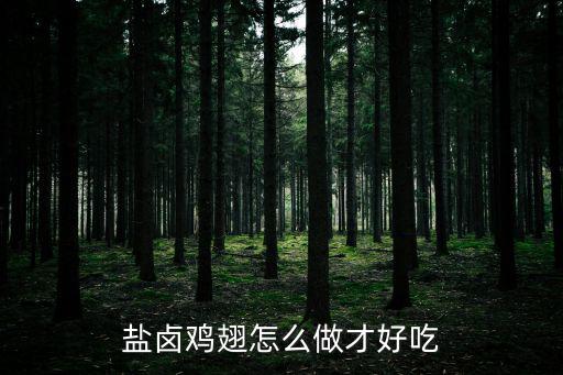 鹽鹵雞翅怎么做才好吃