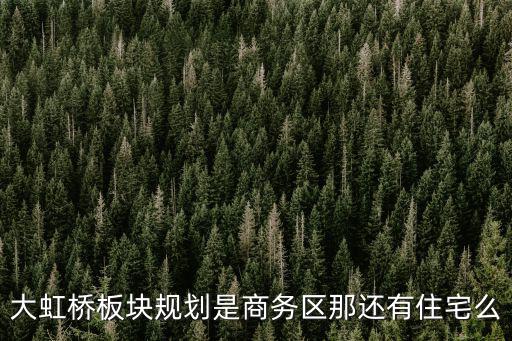 大虹橋板塊規(guī)劃是商務(wù)區(qū)那還有住宅么