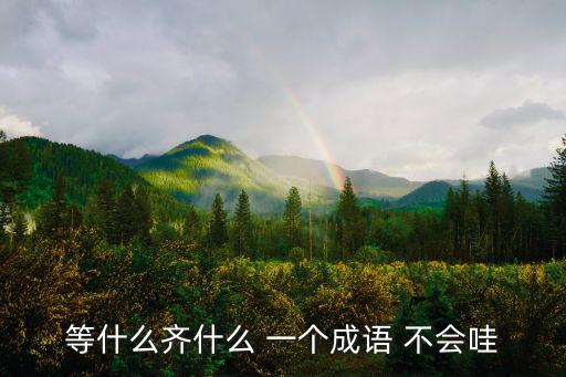 等什么齊什么 一個成語 不會哇
