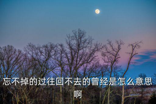 忘不掉的過去，忘不了的過去