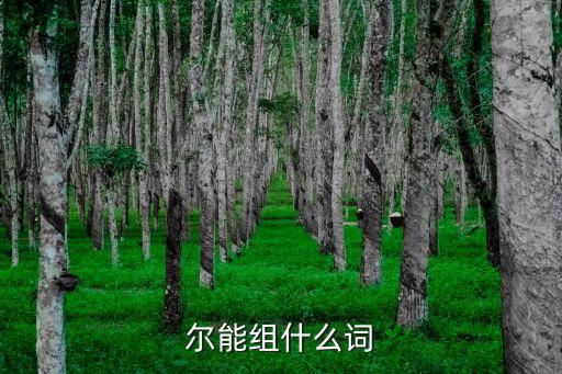 爾能組什么詞