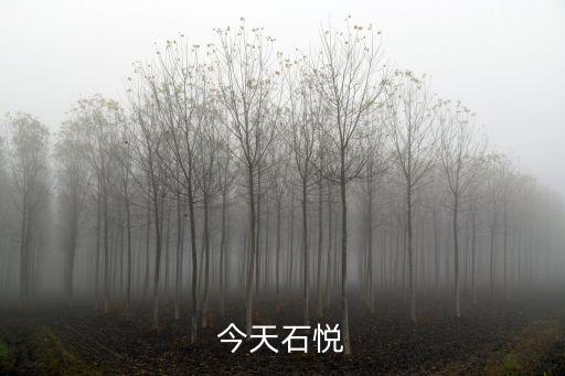 今天石悅