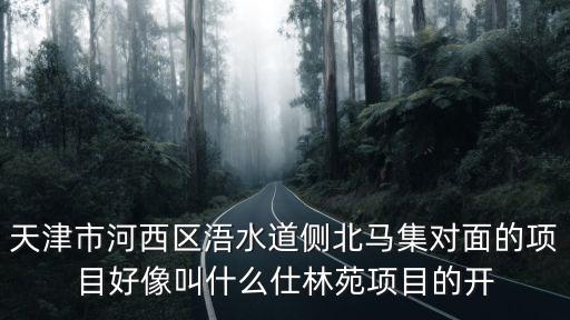 天津市河西區(qū)浯水道側(cè)北馬集對面的項(xiàng)目好像叫什么仕林苑項(xiàng)目的開