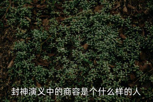 封神演義中的商容是個什么樣的人