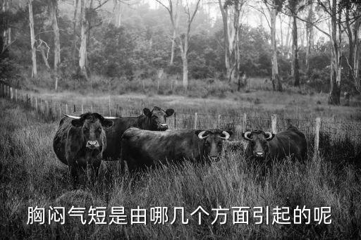 胸悶氣短是由哪幾個方面引起的呢