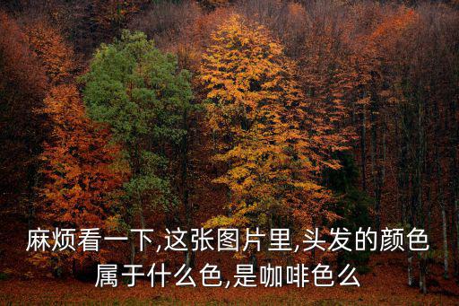 咖啡色頭發圖片,巧克力色頭發比較低調但能提亮膚色顯氣質