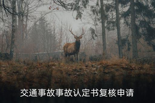 上海市專精特新復(fù)核，交通事故事故認(rèn)定書復(fù)核申請(qǐng)