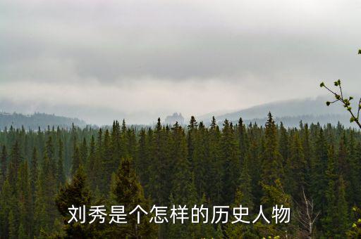 劉秀簡介歷史,劉秀資料:東漢一朝風(fēng)化最美、儒學(xué)最盛