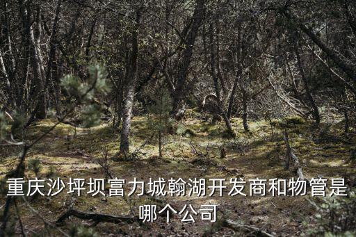 重慶沙坪壩富力城翰湖開發商和物管是哪個公司
