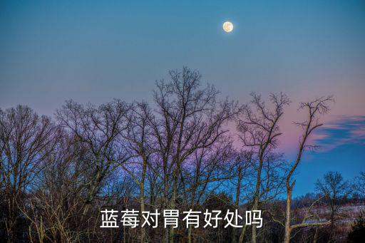 藍莓對胃有好處嗎