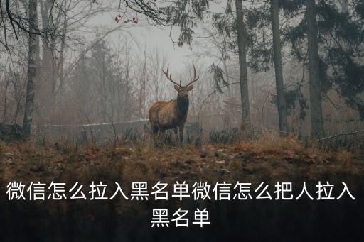 微信怎么加黑名單,微信怎么拉黑名單?點擊這里就可以了