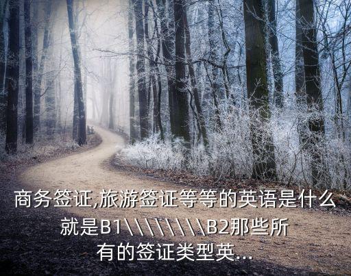 商務簽證,旅游簽證等等的英語是什么就是B1\\\\\\\\B2那些所有的簽證類型英...