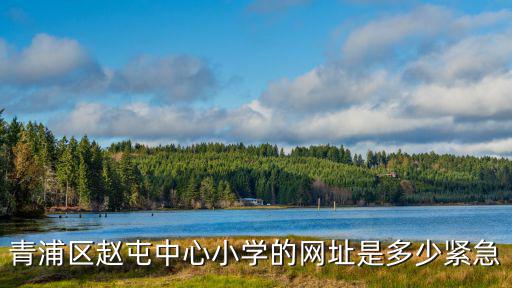 上海市青浦區趙屯小學網站，青浦區趙屯中心小學的網址是多少緊急
