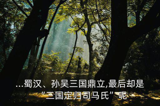 三國盡歸司馬懿,三國定歸司馬氏為何這么說?