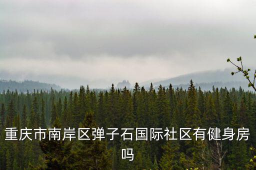 重慶市南岸區(qū)彈子石國際社區(qū)有健身房嗎