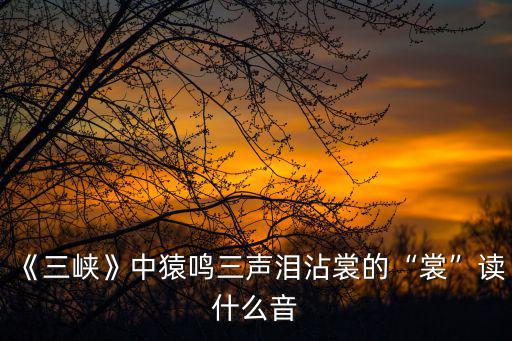 《三峽》中猿鳴三聲淚沾裳的“裳”讀什么音