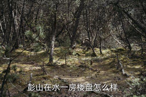 彭山在水一房樓盤怎么樣