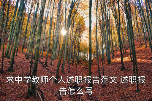 求中學(xué)教師個(gè)人述職報(bào)告范文 述職報(bào)告怎么寫(xiě)