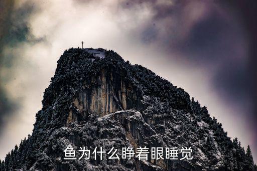 魚為什么睜著眼睡覺