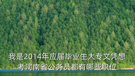 我是2014年應屆畢業生大專文憑想考河南省公務員都有哪些職位