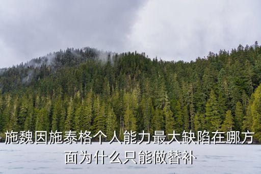 施魏因施泰格個人能力最大缺陷在哪方面為什么只能做替補