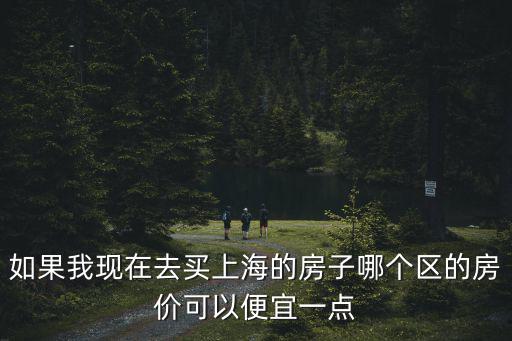 如果我現在去買上海的房子哪個區的房價可以便宜一點
