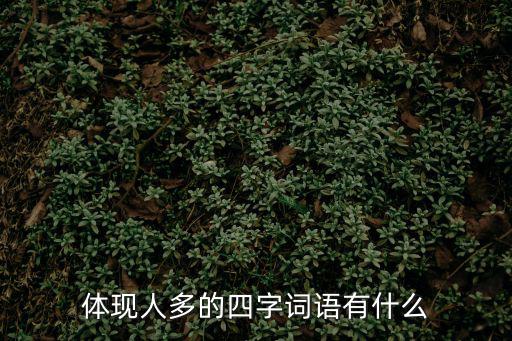體現人多的四字詞語有什么