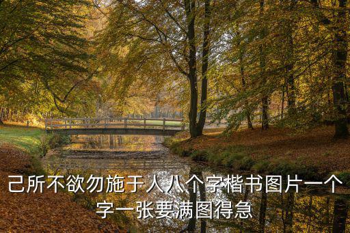 己所不欲勿施于人八個(gè)字楷書(shū)圖片一個(gè)字一張要滿(mǎn)圖得急