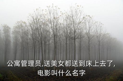 公寓管理員,公寓管理員和公寓費(fèi)用核算員那個(gè)工資高?