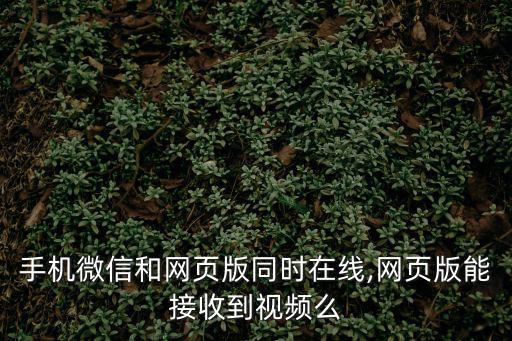 手機微信和網(wǎng)頁版同時在線,網(wǎng)頁版能接收到視頻么