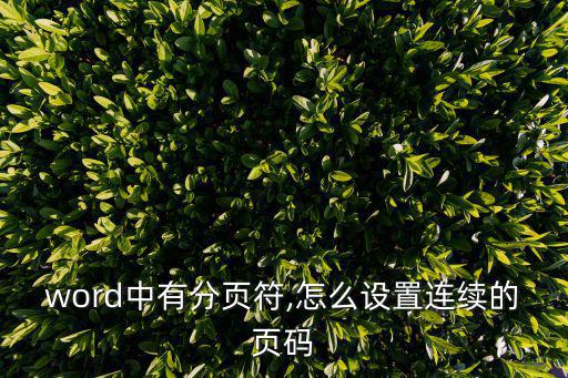 分頁符怎么設置,怎么設置分頁符和連續頁面?