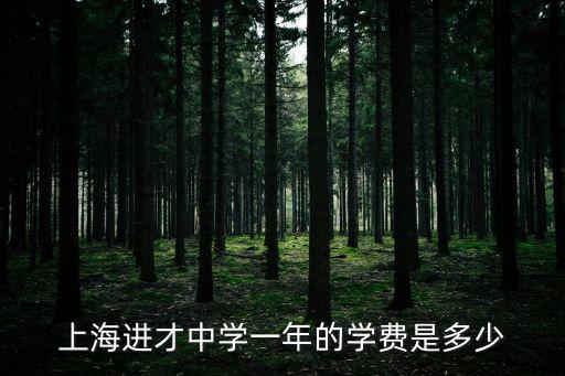 上海進(jìn)才中學(xué)一年的學(xué)費(fèi)是多少