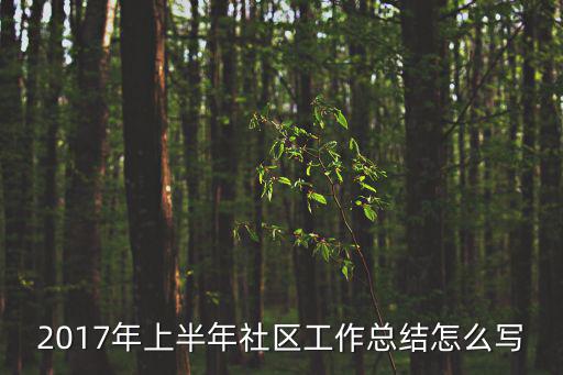 2017年上半年社區(qū)工作總結(jié)怎么寫