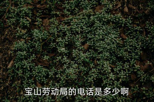 寶山勞動局的電話是多少啊