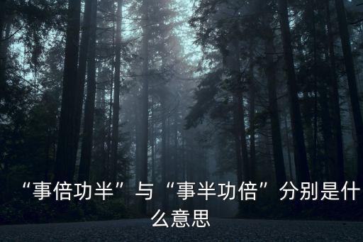 事半功倍造句,事半功倍的意思是什么?