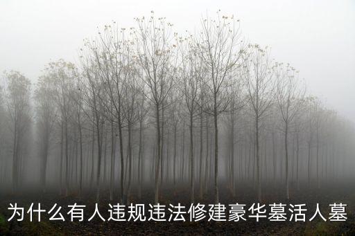 為什么有人違規違法修建豪華墓活人墓