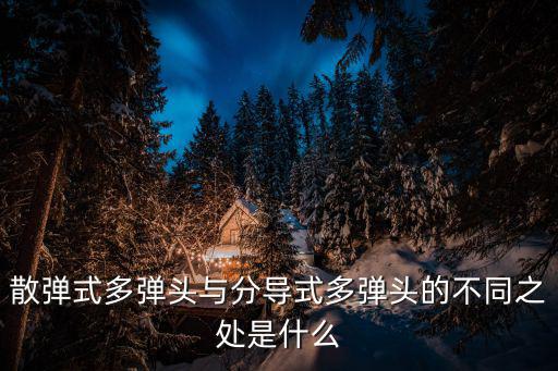 散彈式多彈頭與分導式多彈頭的不同之處是什么