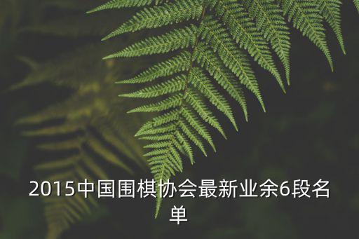 2015中國圍棋協會最新業余6段名單
