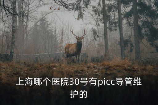 上海哪個醫院30號有picc導管維護的
