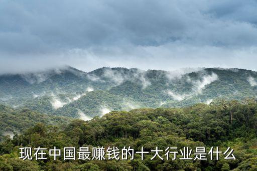 現在中國最賺錢的十大行業是什么
