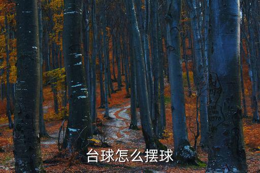 臺(tái)球怎么擺球