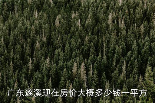 廣東遂溪現在房價大概多少錢一平方