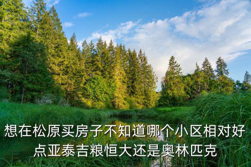 想在松原買房子不知道哪個(gè)小區(qū)相對(duì)好點(diǎn)亞泰吉糧恒大還是奧林匹克