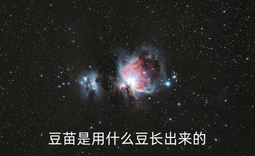 豆苗是用什么豆長出來的
